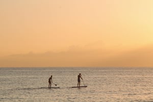 Paddle Boarders